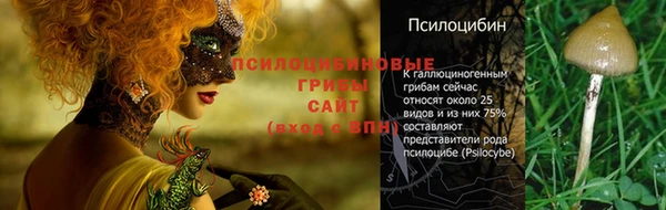 кокаин перу Каменногорск