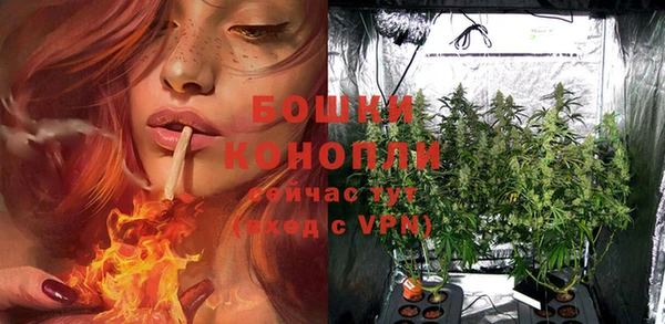 первитин Каменка