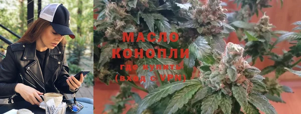 первитин Каменка