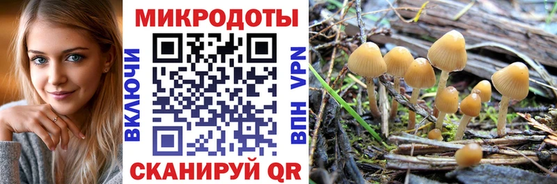 Псилоцибиновые грибы прущие грибы  Купить закладки  Яблоновский 